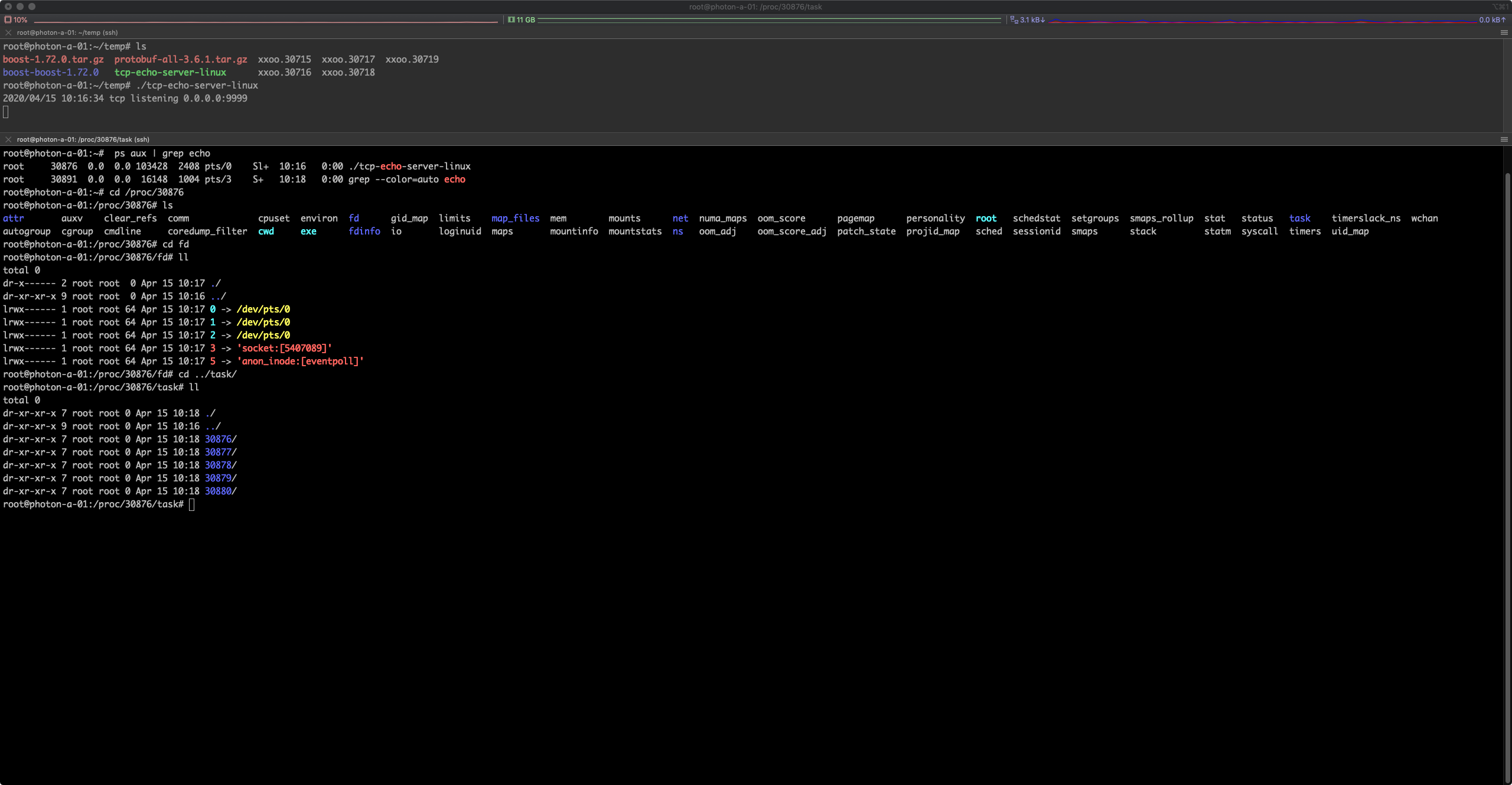 echo tcp server